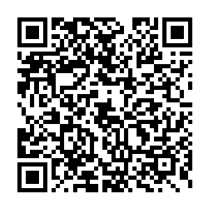 而横卧在那里的唯一作用就是让慕英泽和龙鼎天枕在她们的小腹处二维码生成