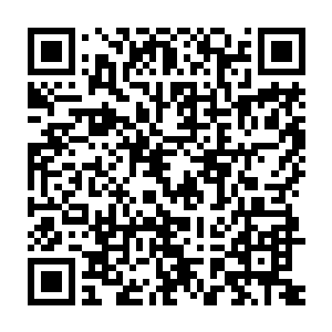 而正在倒退的车子也不受控制的猛然拐了个弯撞在了路边花坛上熄火了二维码生成