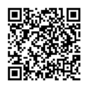 而正在攻击之中的夏天和十三两人全都被无数的丝线护住了二维码生成