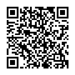 而此刻他竟然在绝望海中发现了仙界第一强者寂灭仙尊的剑痕二维码生成