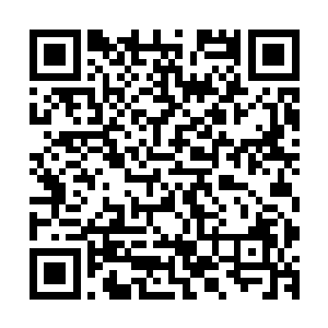 而此时不过距离洛雷塔・林奇召开的新闻吹风会结束一个小时二维码生成