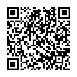 而此时月族等百族修士已经站在了百族族长的跟前二维码生成