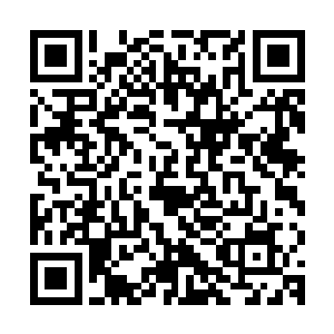而此时杨戬的真身再一次出现在了墓碑的另外一侧的幻影的身上二维码生成