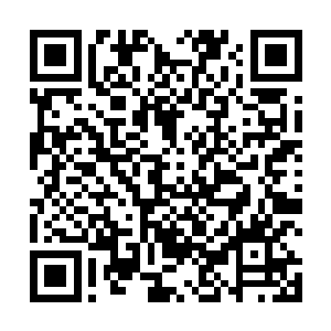 而此时江帆正在距离白鲨宫殿三千里的珊瑚洞里睡觉呢二维码生成