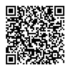 而江少游也终于再次感受到了无数饿狼疯狂的杀戳气息扑面而来……二维码生成