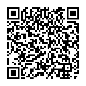 而没有参加这个签署协议的俄罗斯就是这之后才开始尝试组建利用雇佣兵的二维码生成