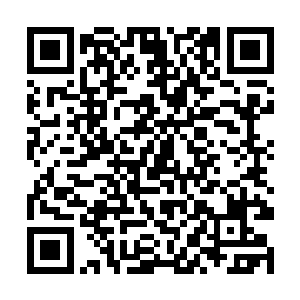 而没有根据地没有公司也没有经纪人的三无在校生们二维码生成