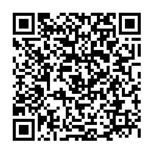 而流墨墨只稍微想了想就拒绝了易红仙人拉一把或者退一把黄昭仙人的意图二维码生成