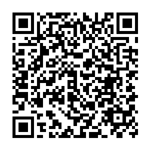 而流墨墨和雪如楼的突然的举动让场外的选手和观众们都注意到了二维码生成