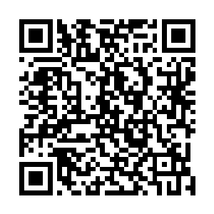 而流墨墨她们在仔细检查一番卯荼和瑞亚的神魂与本源后二维码生成