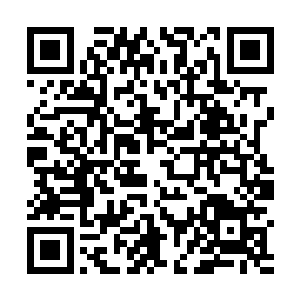 而流墨墨看上去似乎也忘记了司空臣这明显不对的姿态二维码生成