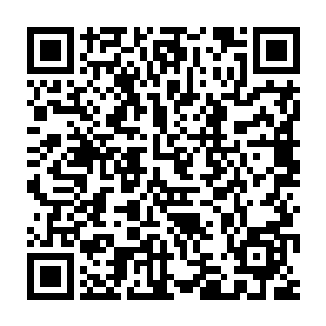 而浦元大师的传承却仅仅只传授了炼器和阵法的相关知识和心得体会二维码生成