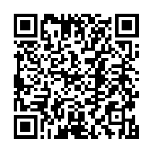 而海澜门的长老自然也不敢随随便便询问帝宗长老的事情二维码生成