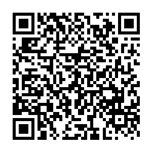 而海角城在海族之战中表现出来的战斗力也足以震惊最高议会的所有人二维码生成