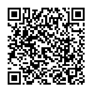 而混沌区前一万名的小型社区管理者有资格对几个战队进行投票选举二维码生成