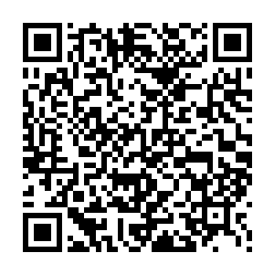 而灵力充沛造成的一个极端就是无数的生命孕育下一秒就是无数的生命死亡二维码生成