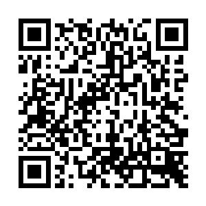 而狗崽们虽然在水晶水母的毒素帮助下抵抗了几波攻击二维码生成