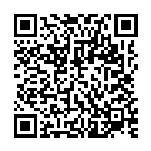 而王世子的整个操作过程也被他背后的大屏幕完全记录了下来二维码生成