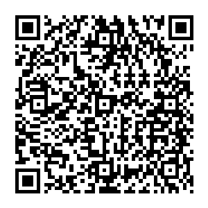 而现在他们身上集万千宠爱和祝福……为什么他们戕害别人的生命和生活却还能那么逍遥幸福二维码生成
