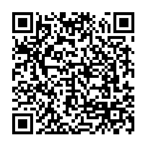 而现在扇面上的存在……是随机不确定性……也就是说在零号舰观测到它前二维码生成