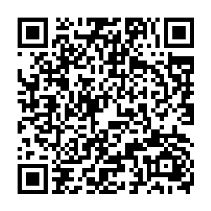 而现在看到一个看样子就是个二世祖的家伙在和林欣悦她们起冲突二维码生成