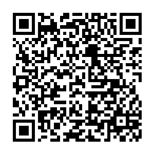 而现在自己能不能用前世的记忆和经验来促成这一姗姗来迟的动作提前启动二维码生成