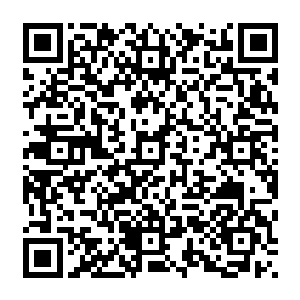 而现在谢家家主竟然因为这样一个不算问题的问题询问自己这个身份低微的婢女的意见二维码生成