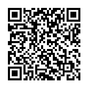 而现在还在比赛场上的八支队伍已经彻底确定了下来二维码生成