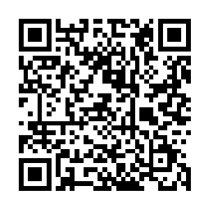 而现实中大家老老实实坐在一起的那一幕跟这一刻对比起来二维码生成
