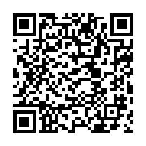 而珍珠酱通过俊杰音乐节的巡回演唱累积了无数忠实粉丝二维码生成