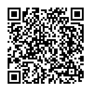 而珠心神算也可以极大的促进和提高万神液的吸收和对精神力的转化效率二维码生成