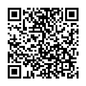 而由枯朽之力演化的不断凋零又不断成长的树木也随之增加二维码生成