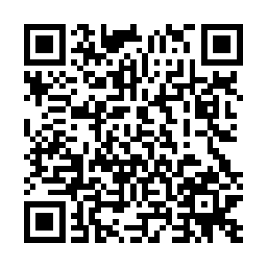 而眼下和他们势如生死大仇的天阙宫就是他们吃掉的目标二维码生成