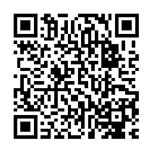 而秦家血脉也算是血魔宗的传承……说有一点点影子也不为过的二维码生成