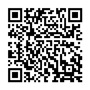而秦洛是暗地里动家伙把该做的事情全做了实在是阴谋狡诈之极二维码生成