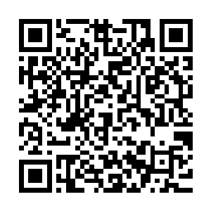 而秦紫的脸色确实被悟空和尚这一掌造成的效果吓得小脸煞白的二维码生成