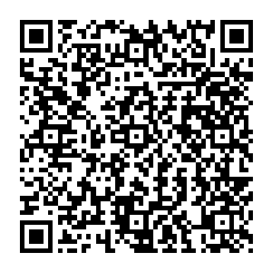 而穿着错误版皇家马德里球衣的罗伯托·卡洛斯俨然就是他今天在比赛录像所看到的那个麦德林二维码生成