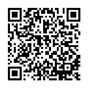 而童云松和魏行侠两人似乎又在刻意的要把陆为民推得很高二维码生成