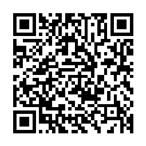 而第十段的历史就是黑暗时代的两百万年和八百万年的世家时代二维码生成