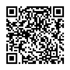 而终于发现他们不会给自己开门的绝望的百姓们也选择了逃跑二维码生成