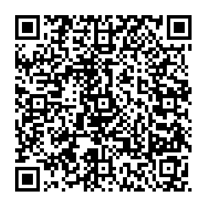 而终于听明白一点儿情况的陌路离殇生怕这俩磨着牙恨不得生吃了小禹仙人的会把那股劲儿迁怒到他身上二维码生成