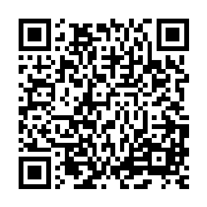 而经过劫雷洗礼的小金修为再一次出现了令众人目瞪口呆的变化二维码生成