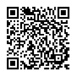 而缺少药物和有效治疗手段让很多伤势不重的人也在一日日加重二维码生成