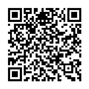 而罗宾的注意力则是被龙根果和几根巨大的乳白色骨骼所吸引二维码生成