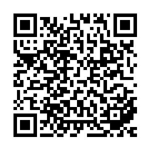 而罗檀仙君也肯定不会容许为师这样强大的手下威胁到他的地位二维码生成