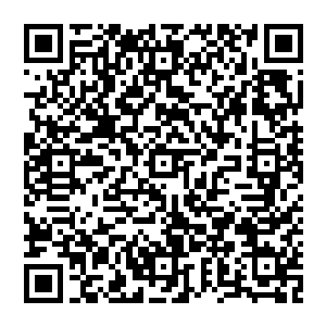 而罡斩和凌波也在感知到这心魔世界恢复联系的第一时间便进入到了这楚旬所在的心魔世界一探究竟二维码生成