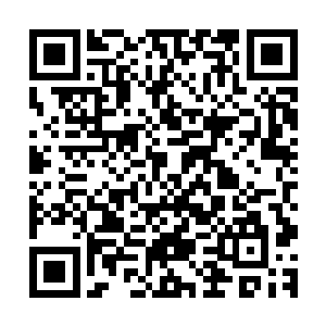 而能听懂语言的流墨墨和朱颜在明白什么情况后不由嘴角抽搐二维码生成