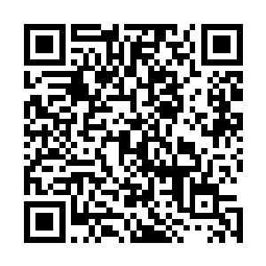 而自从恢复了伤势之后便再次遁入暗处随行保护宸王的梨花二维码生成