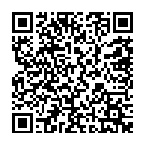 而自己买的那一百亿极品灵石的赌注对于自己的损失实在是补偿了不了多少二维码生成