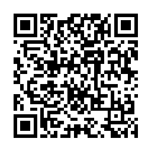 而自最早开始大战的猿石生萨麼王到了现在依旧没有出现二维码生成